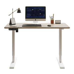 55"×24" Light Electric Standing Desk