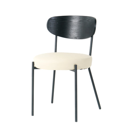 Modern Bentwood Dining Chair, Set of 2
