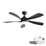 Ceiling Fan with DC Motor and Integrated Light