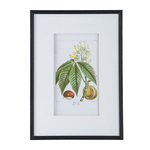 19.7x27.6' Botanical Wall Arts, Set of 2
