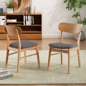 Brilliantine Dining Chair With Cushion and Wood Frame (Set of 2)