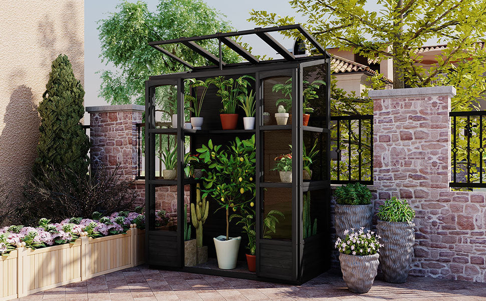 TOPMAX 78-inch Wooden Walk-in Greenhouse with Skylights and Folding Shelves