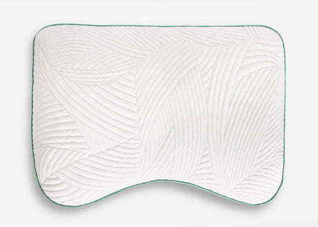 BedGear cooling and dri-tec performance cuddle curve pillow