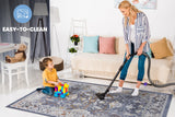 NAAR PAYAS Traditional Non-Shedding and Stain Resistant Area Rug
