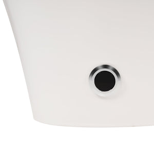 Heated Seat Smart Toilet, One Piece Design
