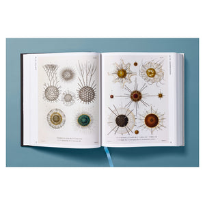 The Art and Science of Ernst Haeckel (German, French, English)