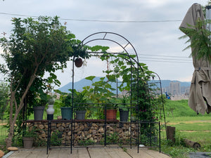 Garden Arch Arbor Trellis for Climbing Plants with Gate, Durable Metal Garden Arch Outdoor Wedding Arch, for Wedding Ceremony Party Plant Climbing Rose Vines Lawn Courtyard Patio Black, 7.15ft