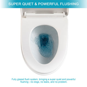 1 Piece Toilet & Dual Flush, Soft Closing Seat - White