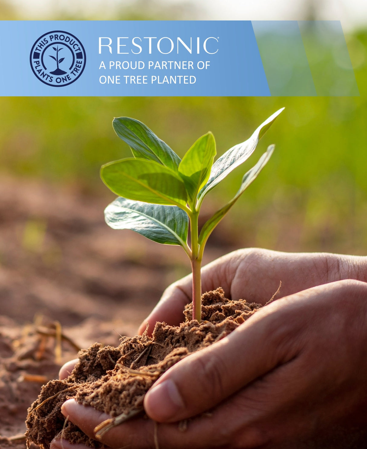 Restonic ComfortCare Hybrid Heartland Plush Mattress - King