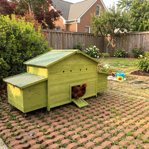 70" Large Wooden Chicken Coop with Nesting Boxes and Waterproof Roof - Green or Brick Red