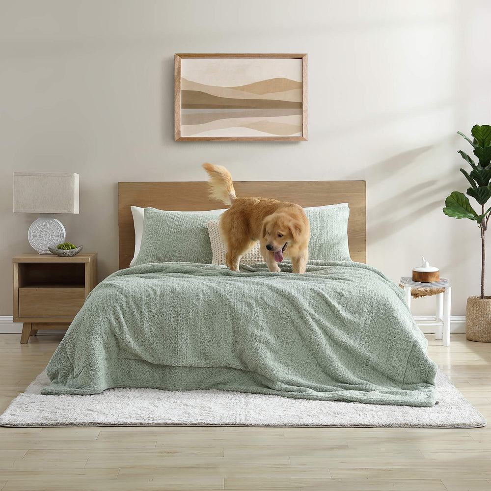 Snug + Bamboo Viscose Sham Set