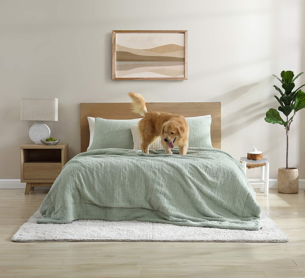 Snug + Bamboo Viscose Sham Set