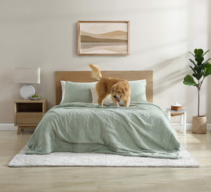 Snug + Bamboo Viscose Sham Set