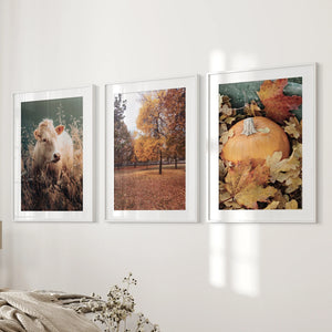 Autumn Farmhouse Prints. Cow, Fall Trees, Pumpkin Decor