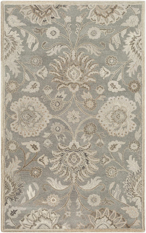 Conesus 1195 Hand Tufted Ivory & Taupe Wool Rug