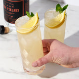 Gem crystal highball glasses viski®