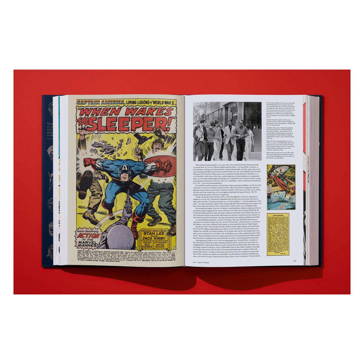The Stan Lee Story (English)