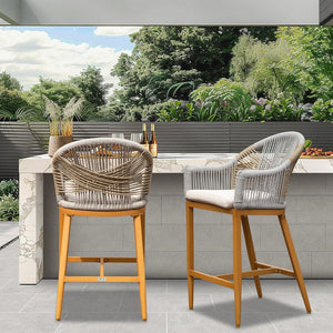 Bar Stools Set of 2 with Arm and Backrest