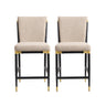 Modern Armless Counter Stool - Set of 2