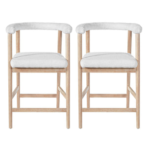 25" Seat Height Bar Stools with Back, Set of 2