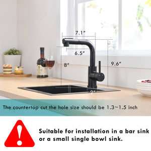Black Kitchen Sink Faucet with Pull Down Sprayer