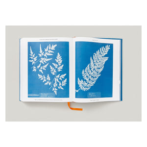 Anna Atkins. Cyanotypes (German, French, English) (FFE)