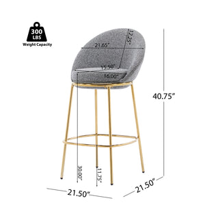 Celano Indoor Metal Upholstered Barstool Set of 2