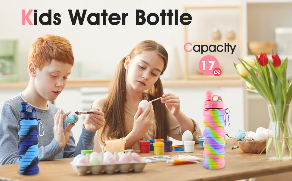 2-Pack Collapsible Hydration Water Bottles