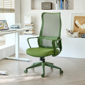 Ergonomic Colorful Office Chair