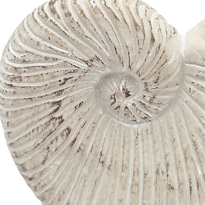 11.5x6.7x7.7 Sand and Cement Nautilus Shell Planter with Textured Beige Finish