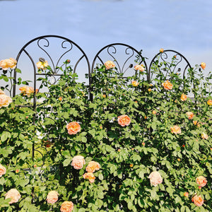 4 Pack Metal Garden Trellis