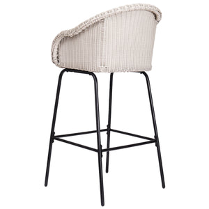 Ladd Outdoor Metal Wicker Barstool Set of 2