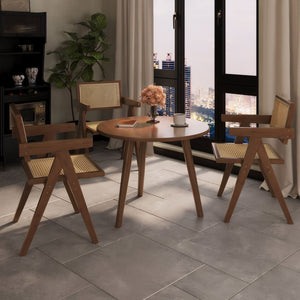 Modern Mid Century Dining Chairs (Set of 2), Rattan Accent Chairs, Comfy Armchairs, Outdoor Wood Chairs With Armrest - Walnut