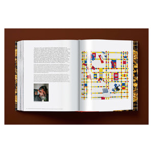 Ai Weiwei. Updated Edition (German, French, English)