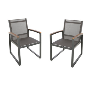 Aresha Metal Outdoor Dining Armchair (Set of 2) - Gray