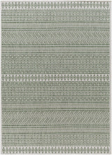 Madras Natural Gray Green All Over Performance Area Rug
