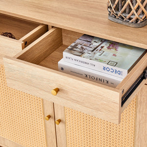 Multifunctional Modern Minimalist Shoe Cabinet