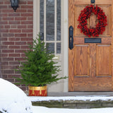 3.0-Ft Andirondack Potted Christmas Tree Decor