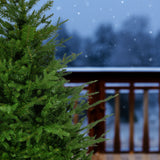 3.0-Ft Andirondack Potted Christmas Tree Decor