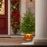 3.0-Ft Andirondack Potted Christmas Tree Decor
