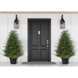 4-Ft. Adirondack Potted Christmas Tree