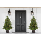 Fraser Hill Farm 5-Ft Adirondack Pre-Lit Potted Christmas Tree Decor with Warm White LED Lights