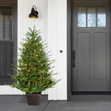 Fraser Hill Farm 5-Ft Adirondack Pre-Lit Potted Christmas Tree Decor with Warm White LED Lights