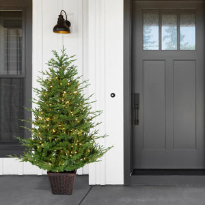 Fraser Hill Farm 5-Ft Adirondack Pre-Lit Potted Christmas Tree Decor with Warm White LED Lights