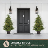 Fraser Hill Farm 5-Ft Adirondack Pre-Lit Potted Christmas Tree Decor with Warm White LED Lights
