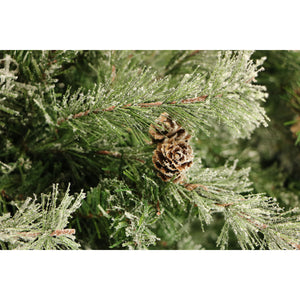 6.5-Ft. Flocked Buffalo Fir Christmas Tree with Warm White LED Lights