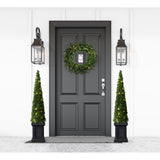 40" Boxwood Topiary Cone with Square Pot and Warm White LED Lights