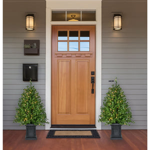 3-Ft.-Boxwood-Porch-Tree-in-Black-Pot-with-Warm-White-Lights-Christmas-Trees