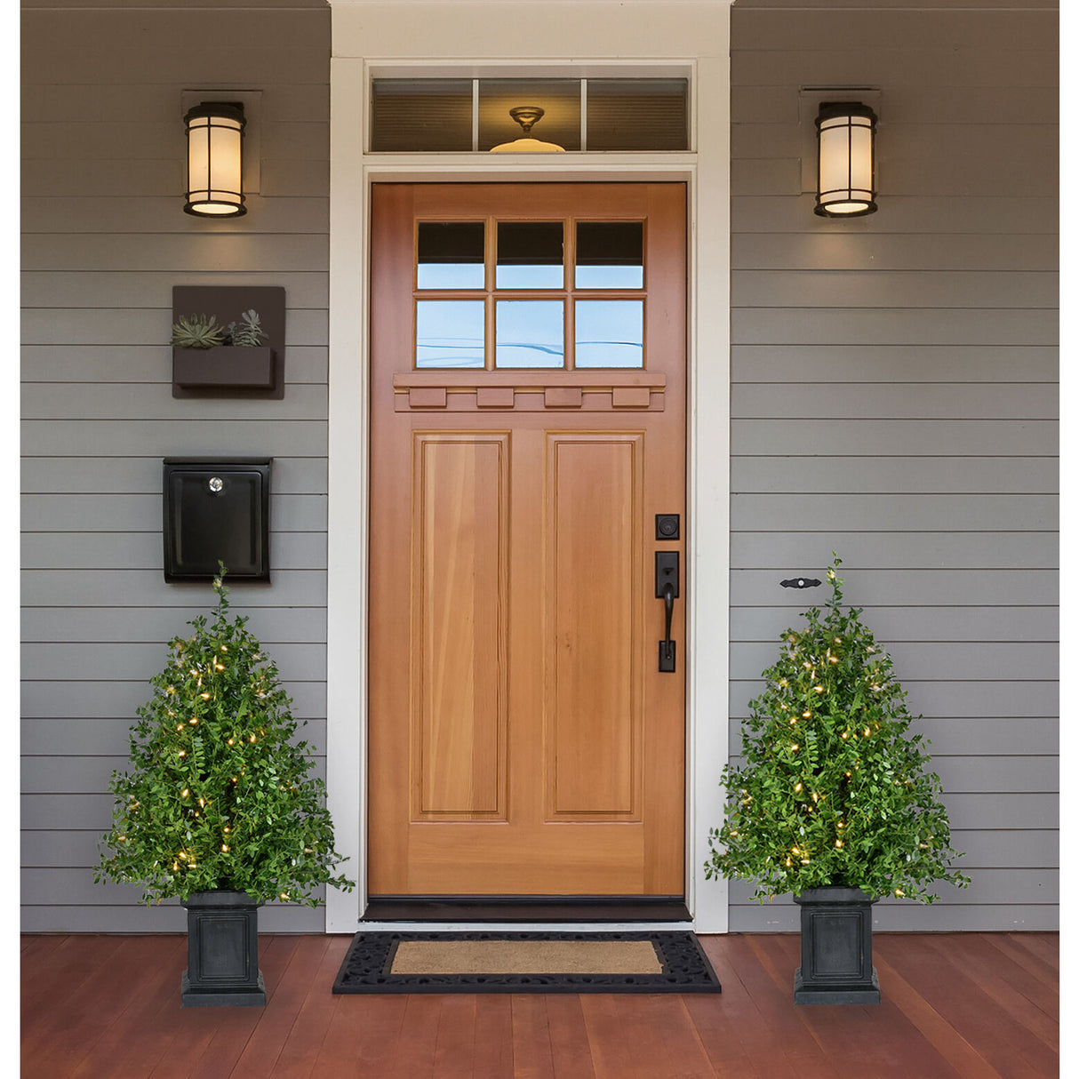 3-Ft. Boxwood Porch Tree in Black Pot with Warm White Lights, Set of 2