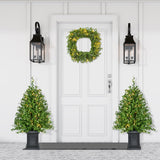 3-Ft. Boxwood Porch Tree in Black Pot with Warm White Lights, Set of 2